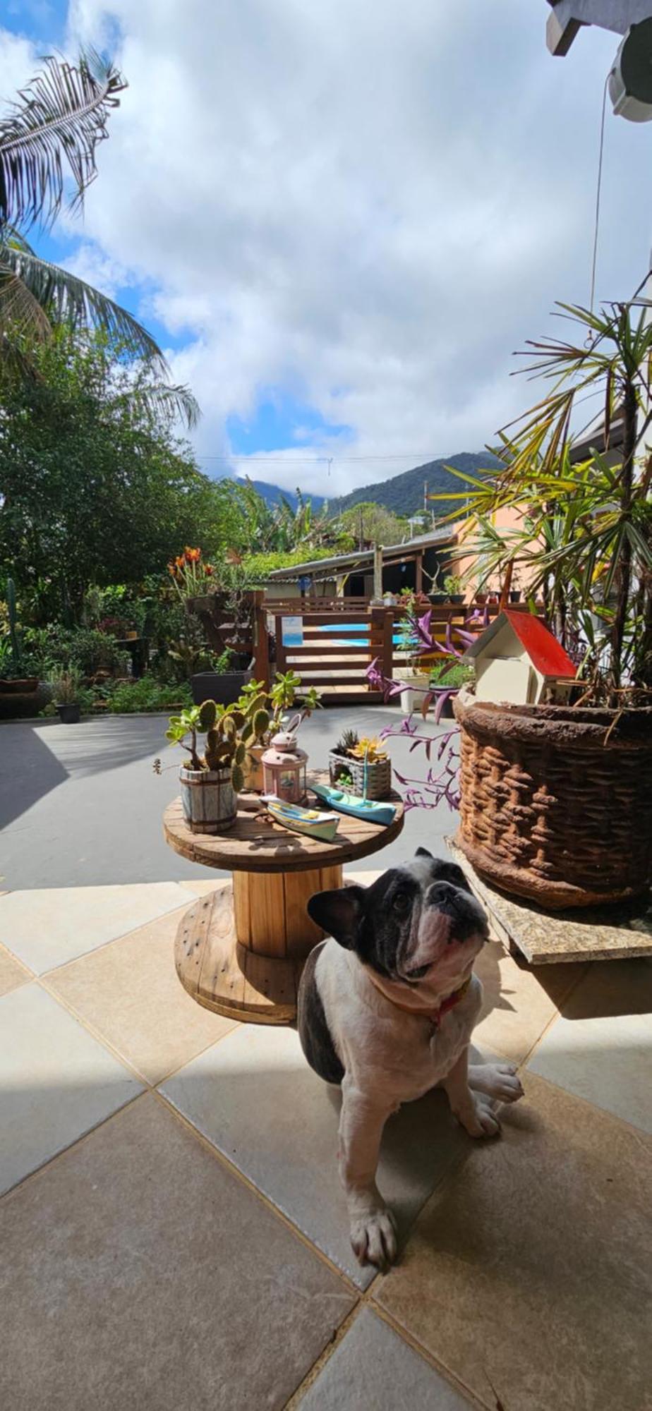 Suites No Paraiso Da Ilhabela Ngoại thất bức ảnh